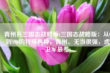 青州兵三国志战略版(三国志战略版：从C到SSS的特殊兵种，青州、无当很强，虎卫军最差)
