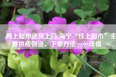 网上超市送货上门(海宁“线上超市”主要供应物资、下单方法……详情→)