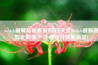 switch破解后能恢复吗(任天堂Switch破解竟如此简单 一个曲别针就能搞定)
