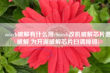switch破解有什么用(Switch改机破解芯片遭破解 为开源破解芯片扫清障碍)