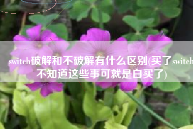 switch破解和不破解有什么区别(买了switch不知道这些事可就是白买了)