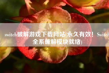 switch破解游戏下载网站(永久有效！Switch全系破解模块就绪)