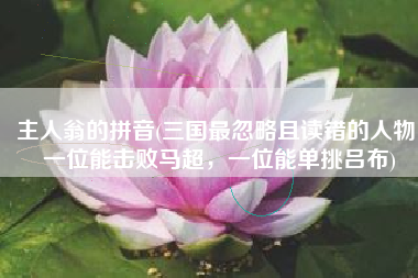 主人翁的拼音(三国最忽略且读错的人物，一位能击败马超，一位能单挑吕布)