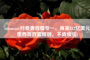 ottoman(对爱妻感情专一，身家812亿美元墨西哥首富鳏居，不肯续弦)
