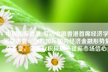 中银国际香港(专访中银香港首席经济学家鄂志寰：当前国际国内经济金融形势复杂多变，需采取积极措施提振市场信心)