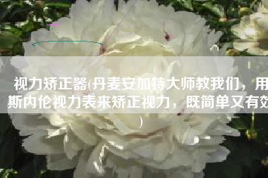 视力矫正器(丹麦安加特大师教我们，用斯内伦视力表来矫正视力，既简单又有效)