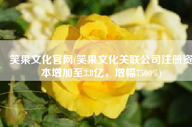 笑果文化官网(笑果文化关联公司注册资本增加至3.8亿，增幅7500%)