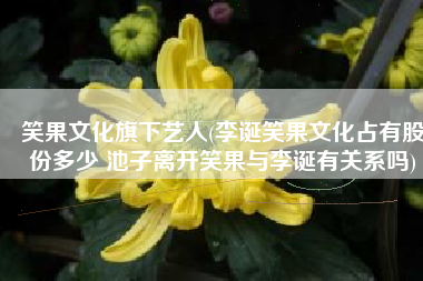笑果文化旗下艺人(李诞笑果文化占有股份多少 池子离开笑果与李诞有关系吗)