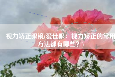 视力矫正眼镜(爱佳眼：视力矫正的常用方法都有哪些？)
