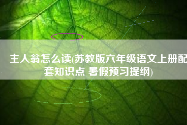 主人翁怎么读(苏教版六年级语文上册配套知识点 暑假预习提纲)