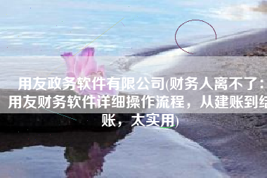 用友政务软件有限公司(财务人离不了：用友财务软件详细操作流程，从建账到结账，太实用)