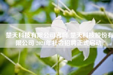 楚天科技有限公司官网(楚天科技股份有限公司 2021年社会招聘正式启动)