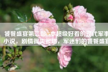 饕餮盛宴第二部(5本超级好看的现代军事小说，剧情很爽很燃，军迷们的饕餮盛宴)