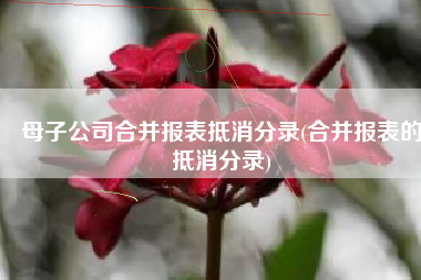 母子公司合并报表抵消分录(合并报表的抵消分录)