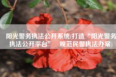 阳光警务执法公开系统(打造“阳光警务执法公开平台”   规范民警执法办案)