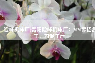 险峰机床厂(贵阳险峰机床厂：2020昂扬复工，力促生产)