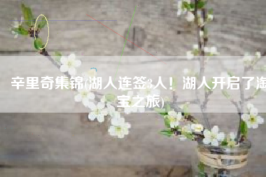 辛里奇集锦(湖人连签3人！湖人开启了淘宝之旅)