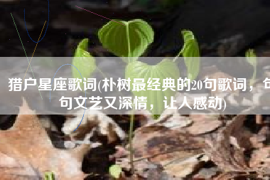 猎户星座歌词(朴树最经典的20句歌词，句句文艺又深情，让人感动)