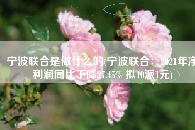 宁波联合是做什么的(宁波联合：2021年净利润同比下降27.45% 拟10派1元)