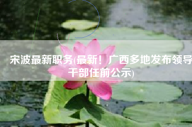 宋波最新职务(最新！广西多地发布领导干部任前公示)