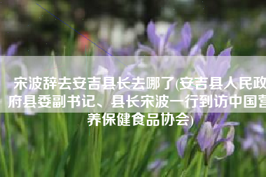 宋波辞去安吉县长去哪了(安吉县人民政府县委副书记、县长宋波一行到访中国营养保健食品协会)