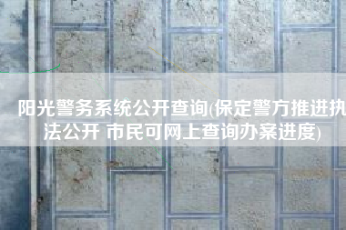 阳光警务系统公开查询(保定警方推进执法公开 市民可网上查询办案进度)