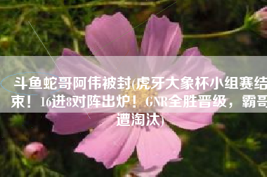 斗鱼蛇哥阿伟被封(虎牙大象杯小组赛结束！16进8对阵出炉！GNR全胜晋级，霸哥遭淘汰)