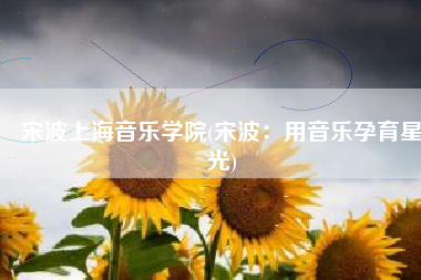 宋波上海音乐学院(宋波：用音乐孕育星光)