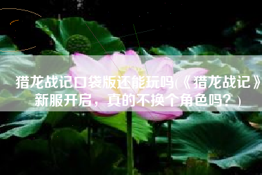 猎龙战记口袋版还能玩吗(《猎龙战记》新服开启，真的不换个角色吗？)