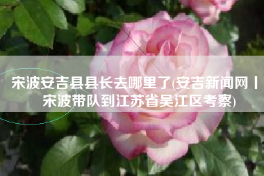 宋波安吉县县长去哪里了(安吉新闻网丨 宋波带队到江苏省吴江区考察)
