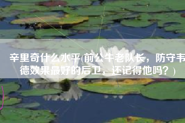 辛里奇什么水平(前公牛老队长，防守韦德效果最好的后卫，还记得他吗？)