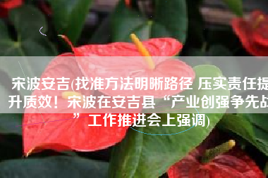 宋波安吉(找准方法明晰路径 压实责任提升质效！宋波在安吉县“产业创强争先战”工作推进会上强调)