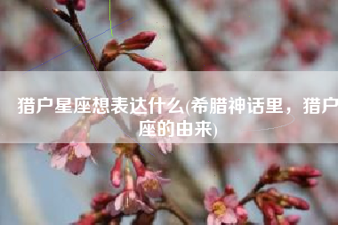 猎户星座想表达什么(希腊神话里，猎户座的由来)