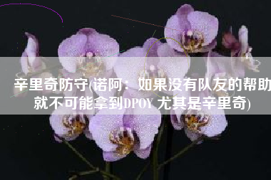 辛里奇防守(诺阿：如果没有队友的帮助就不可能拿到DPOY 尤其是辛里奇)