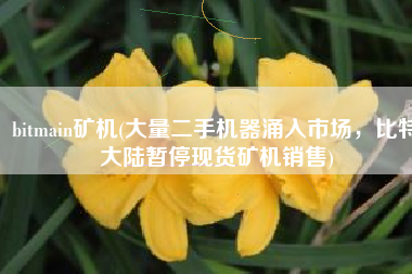 bitmain矿机(大量二手机器涌入市场，比特大陆暂停现货矿机销售)