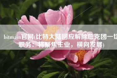 bitmain官网(比特大陆回应解除詹克团一切职务：将聚焦主业，横向发展)
