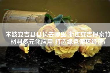 宋波安吉县县长去哪里(浙江安吉探索竹材料多元化应用 打造绿色循环经济)