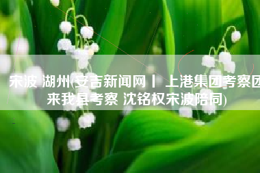 宋波 湖州(安吉新闻网丨 上港集团考察团来我县考察 沈铭权宋波陪同)