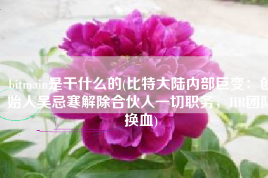 bitmain是干什么的(比特大陆内部巨变：创始人吴忌寒解除合伙人一切职务，HR团队换血)