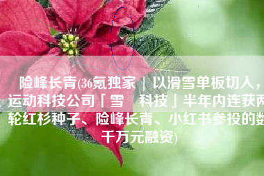 险峰长青(36氪独家 | 以滑雪单板切入，运动科技公司「雪鸮科技」半年内连获两轮红杉种子、险峰长青、小红书参投的数千万元融资)