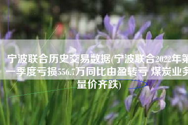 宁波联合历史交易数据(宁波联合2022年第一季度亏损556.7万同比由盈转亏 煤炭业务量价齐跌)