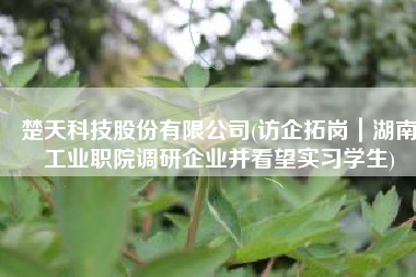 楚天科技股份有限公司(访企拓岗｜湖南工业职院调研企业并看望实习学生)