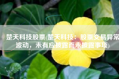 楚天科技股票(楚天科技：股票交易异常波动，未有应披露而未披露事项)
