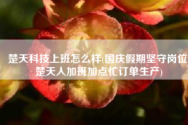 楚天科技上班怎么样(国庆假期坚守岗位 楚天人加班加点忙订单生产)