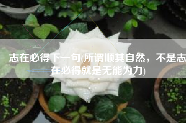 志在必得下一句(所谓顺其自然，不是志在必得就是无能为力)