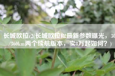 长城欧拉r2(长城欧拉R2最新参数曝光，305/360km两个续航版本，卖8万起如何？)