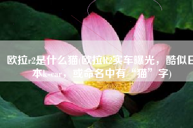 欧拉r2是什么猫(欧拉R2实车曝光，酷似日本k-car，或命名中有“猫”字)