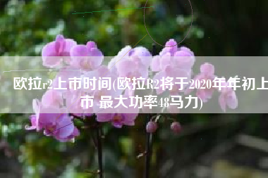 欧拉r2上市时间(欧拉R2将于2020年年初上市 最大功率48马力)