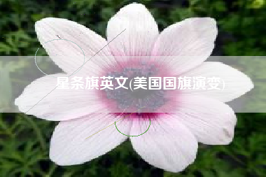 星条旗英文(美国国旗演变)