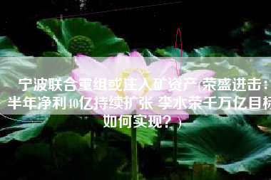 宁波联合重组或注入矿资产(荣盛进击：半年净利40亿持续扩张 李水荣千万亿目标如何实现？)